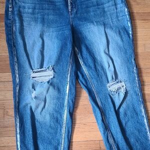 Classic Blue Distressed Ankle Jeans